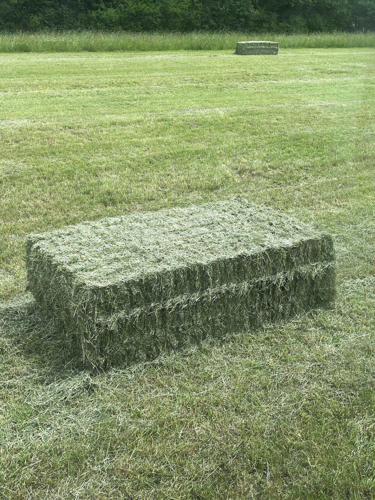 ikkUE9U8ejPrpbvBNdETCl4PlaEiUULidYMw6jQL.jpg